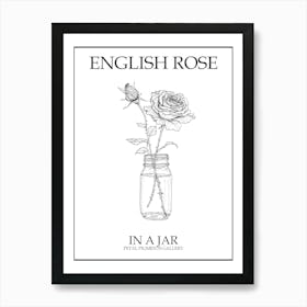 English Rose In A Jar Line Drawing 1 Poster Art Print