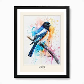 Magpie Colourful Watercolour 1 Poster Art Print