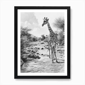 Giraffe In The River Pencil Drawing 2 Art Print