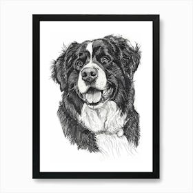 Bernese Mountain Dog Line Sketch 2 Art Print