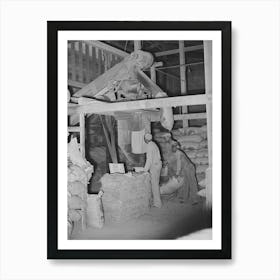 Sacking Cotton Seed Meal,Cotton Seed Oil Mill, Mclennan County, Texas By Russell Lee Art Print