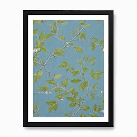 Silver Linden tree Vintage Botanical Art Print