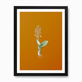 Vintage Brown Widelip Orchid Botanical on Sunset Orange n.0362 Art Print