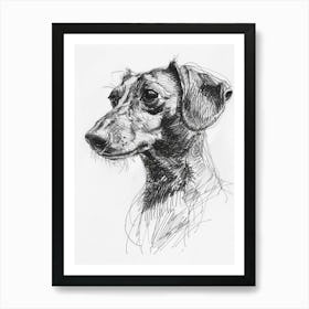 Dachshund Dog Line Sketch 3 Art Print