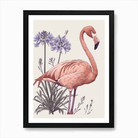 American Flamingo And Agapanthus Minimalist Illustration 4 Art Print