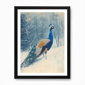 Orange & Blue Peacock In A Snow Scene 1 Art Print