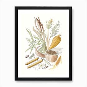 Arrowroot Spices And Herbs Pencil Illustration 1 Art Print