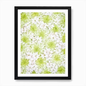 White Green Flowers Art Print