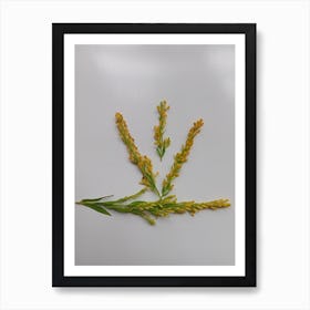 Photoline tiny yellow flowers. Man made Not AI, Art Print