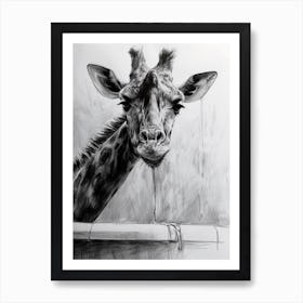 Giraffe In The Bath Pencil Drawing 2 Art Print