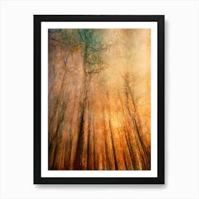 Autumn Inferno Art Print