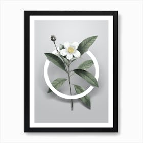 Vintage Loblolly Bay Minimalist Flower Geometric Circle on Soft Gray n.0495 Art Print