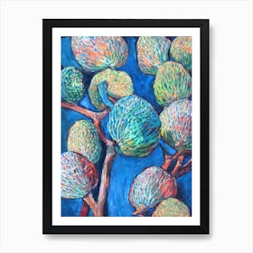 Custard Apple 2 Classic Fruit Art Print