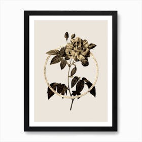 Gold Ring French Rosebush with Variegated Flowers Glitter Botanical Illustration n.0171 Art Print