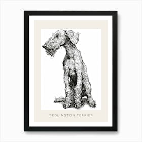 Bedlington Terrier Dog Line Sketch 1 Poster Art Print