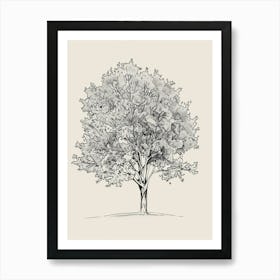 Ash Tree Minimalistic Drawing 2 Art Print