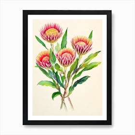 Proteas Vintage Flowers Flower Art Print