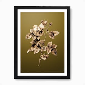 Gold Botanical Pink Bourbon Roses on Dune Yellow n.4018 Art Print