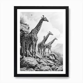 Herd Of Giraffe Pencil Portrait 4 Art Print