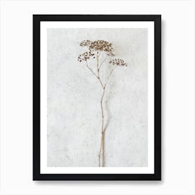 Foraged Wild Botanicals Art Print