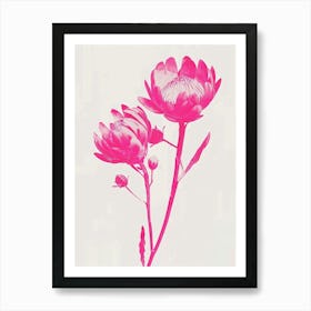 Hot Pink Protea 1 Art Print