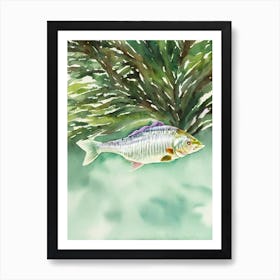 Mulloway II Storybook Watercolour Art Print