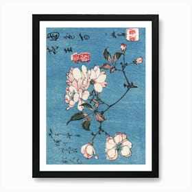 Cherry Blossoms 13 Art Print