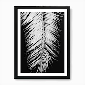 Palm Leaf Contrast_2192478 Art Print