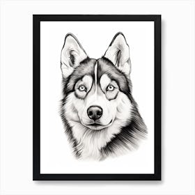 Siberian Husky Dog, Line Drawing 3 Art Print