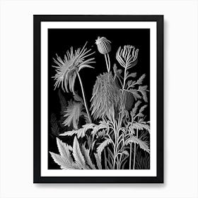 Prairie Smoke Wildflower Linocut Art Print