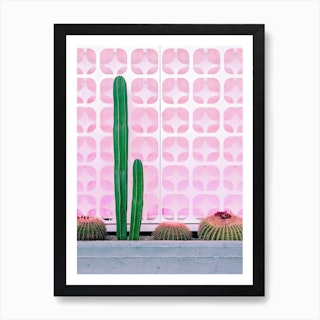 Cactus Plants In Front Of Pink Mid Century Modern Wall Art Print