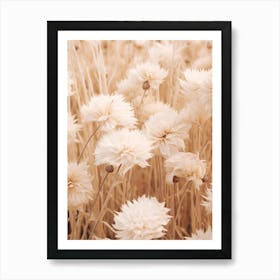 Boho Dried Flowers Asters 10 Art Print