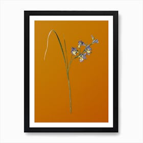 Vintage Gladiolus Ringens Botanical on Sunset Orange n.0811 Art Print
