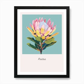 Protea 2 Square Flower Illustration Poster Art Print