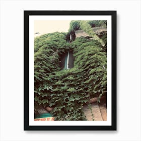 Ivy Covered Building Art Print