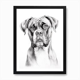 Boxer Dog, Line Drawing 5 Art Print