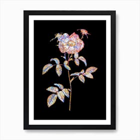 Stained Glass Stapelia Rose Bloom Mosaic Botanical Illustration on Black n.0122 Art Print
