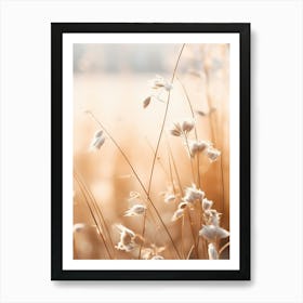 Boho Dried Flowers Forget Me Not 4 Art Print