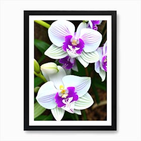 Orchids 8 Art Print