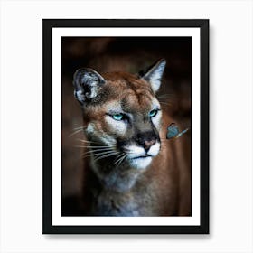 Wild Puma And Blue Butterfly Art Print