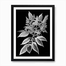 Spirea Leaf Linocut 3 Art Print