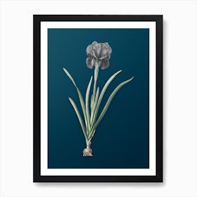 Vintage Mourning Iris Botanical Art on Teal Blue n.0684 Art Print