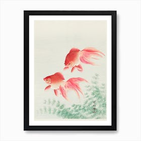 Two Veil Goldfish, Ohara Koson Vintage Japanese Art Print