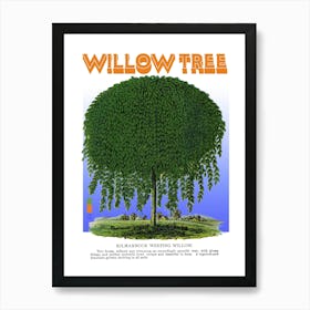 Willow Tree Graphic Wall Art Vintage Unique Eclectic Art Print