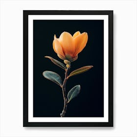 Magnolia Flower Art Print