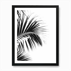 Black And White Palm Leaves 5 Art Print