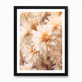 Boho Dried Flowers Asters 5 Art Print