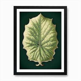 Marshmallow Leaf Vintage Botanical Art Print