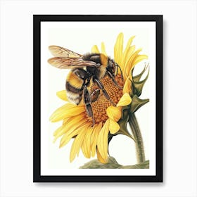 Carpenter Bee Storybook Illustration 6 Art Print