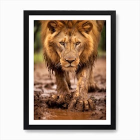 African Lion Muddy Paws Realism 1 Art Print